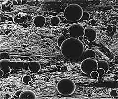 Капсулы на обработанной поверхности (фото под электронным микроскопом)